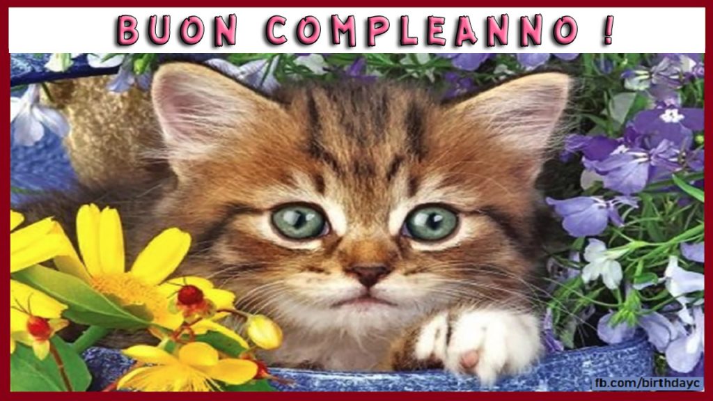 Buon Compleanno