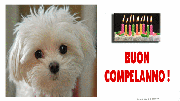 Buon Compleanno