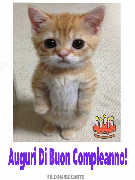 Buon Compleanno