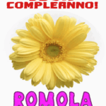 Buon Complanno Romola