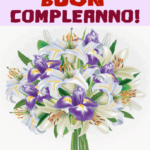 Buon Compleanno