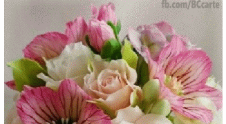 Buon Compleanno Luciana