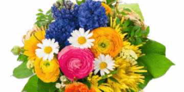 Buon Compleanno Federica