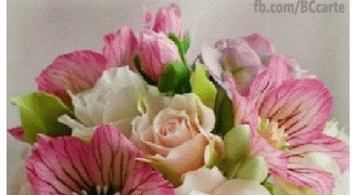 Buon Compleanno Rosanna