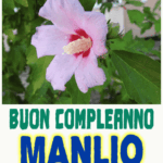 Buon Compleanno Manlio
