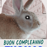 Buon Compleanno Thomas