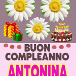 Buon Compleanno Antonina