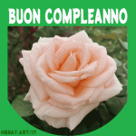 compleanno rosa gif