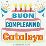 Buon Compleanno Cataleya gif torta