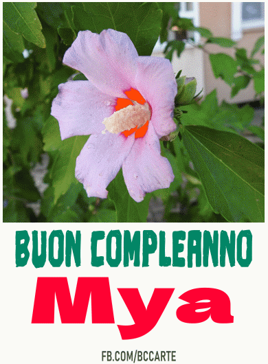 Buon Compleanno Mya gif