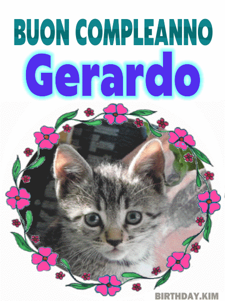 Buon compleanno Gerardo gif gatto